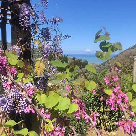 San Noto Antica Residenza Di Caccia Bed and Breakfast Ficarra