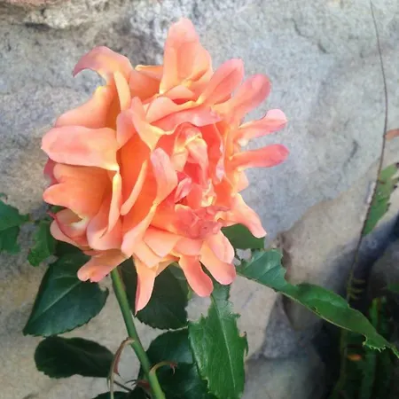 Bed and Breakfast San Noto Antica Residenza Di Caccia Ficarra
